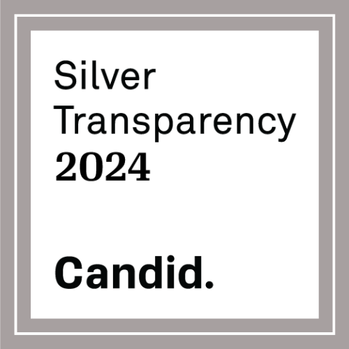 Candid. Silver Transparency for 2024